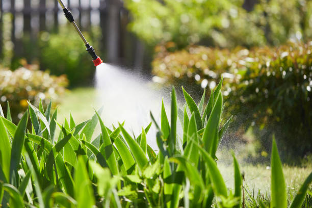 24/7 Emergency Cockroach Control experts in Carlton, OR