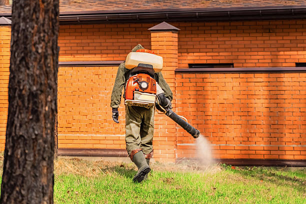 Trusted Cockroach Control service in Carlton, OR - Nex Pest Control
